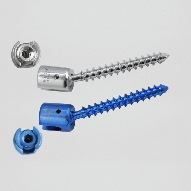 axial scx24 screw size